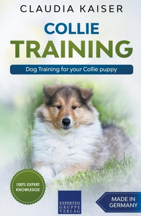 Collie Training  Dog Training for your Collie puppy