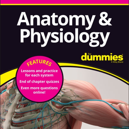 Anatomy & Physiology All-in-One For Dummies (+ Chapter Quizzes Online)