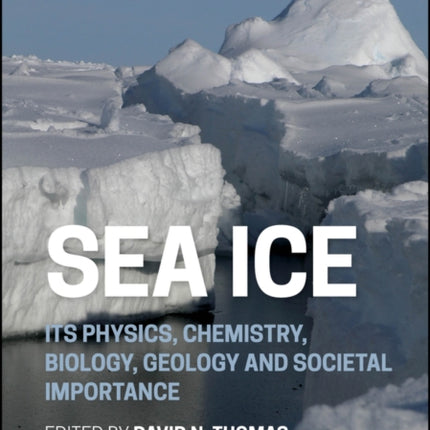 Sea Ice