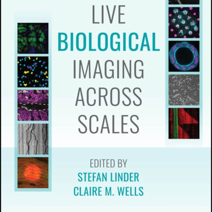 Live Biological Imaging Across Scales