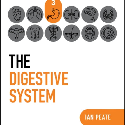 The Digestive System