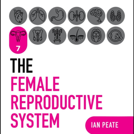 The Female Reproductive System
