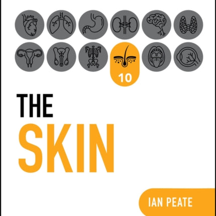 The Skin