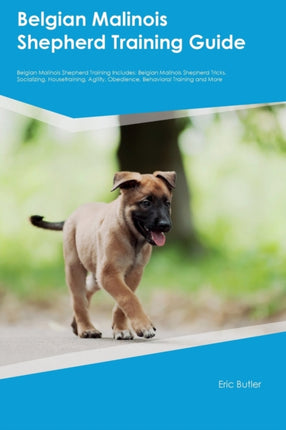 Belgian Malinois Shepherd Training Guide