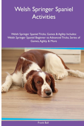 Welsh Springer Spaniel Activities Welsh Springer