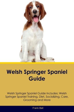 Welsh Springer Spaniel Guide Welsh Springer
