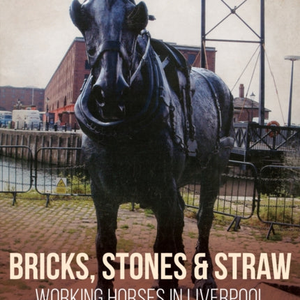 Bricks, Stones and Straw: Working Horses in Liverpool