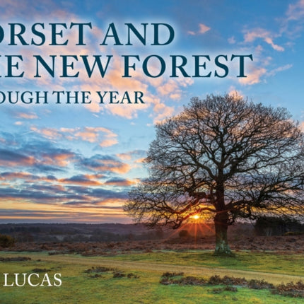 Dorset and the New Forest Through the Year