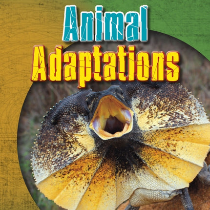 Animal Adaptations