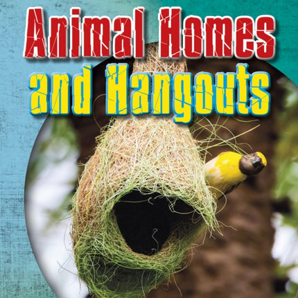 Animal Homes and Hang-outs