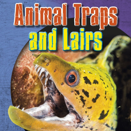 Animal Traps and Lairs