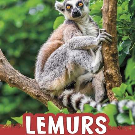 Lemurs