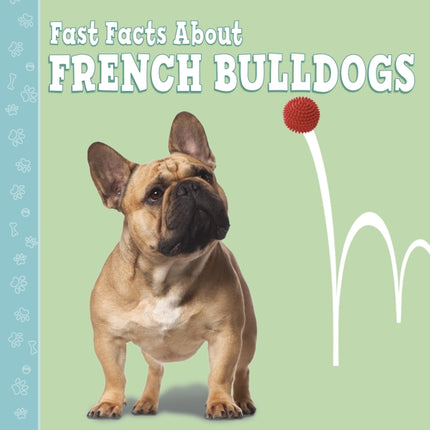 Fast Facts About French Bulldogs