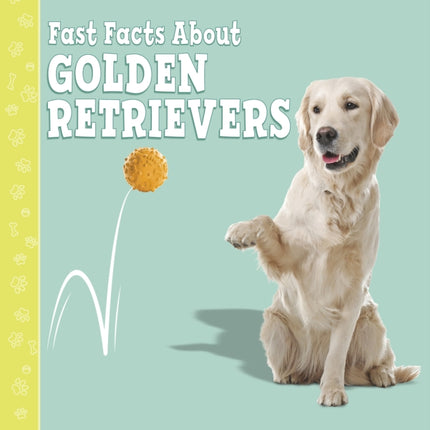 Fast Facts About Golden Retrievers