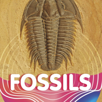 Fossils