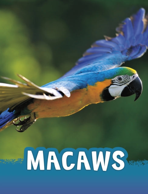 Macaws