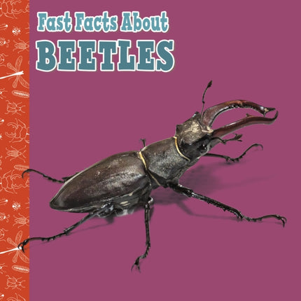 Fast Facts About Beetles