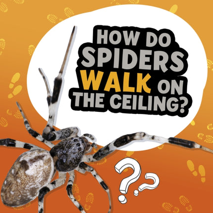 How Do Spiders Walk on the Ceiling?