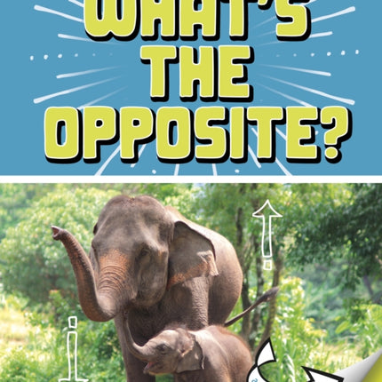 What's the Opposite?: A Turn-and-See Book