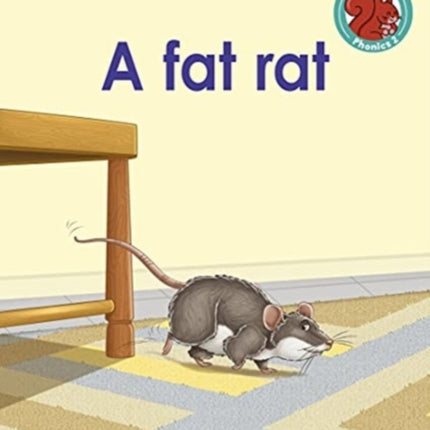 A fat rat