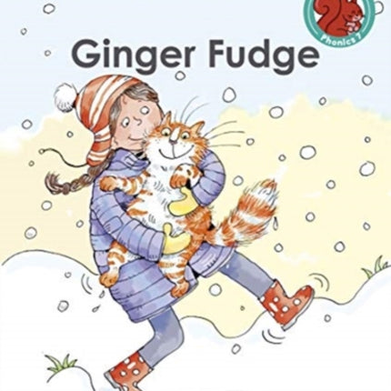 Ginger Fudge