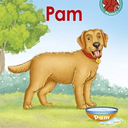 Pam