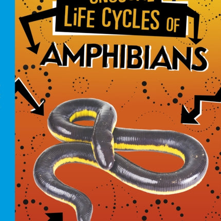 Unusual Life Cycles of Amphibians