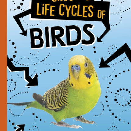 Unusual Life Cycles of Birds