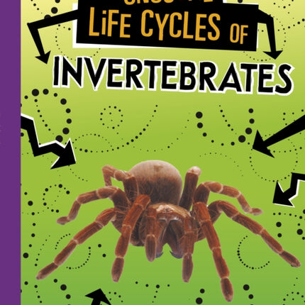 Unusual Life Cycles of Invertebrates