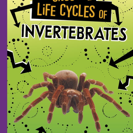 Unusual Life Cycles of Invertebrates