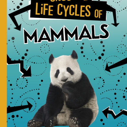 Unusual Life Cycles of Mammals