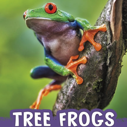 Tree Frogs