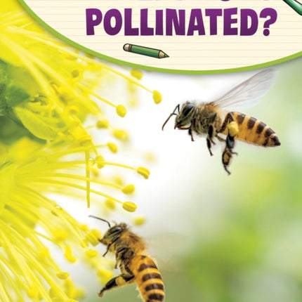 How Are Plants Pollinated?