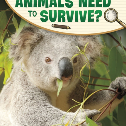 What Do Animals Need to Survive?