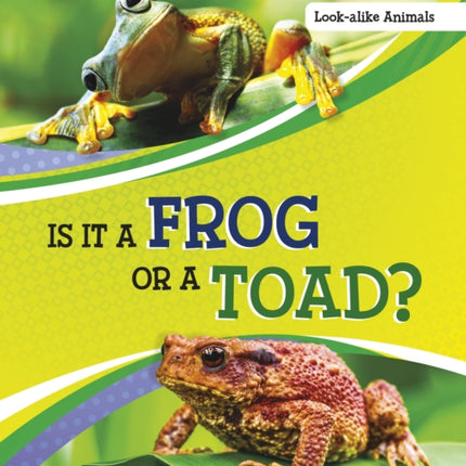 Is It a Frog or a Toad?