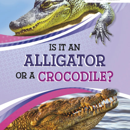 Is It an Alligator or a Crocodile?