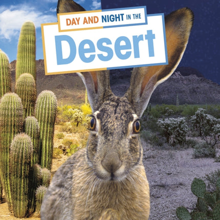 Day and Night in the Desert