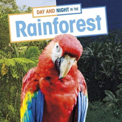 Day and Night in the Rainforest