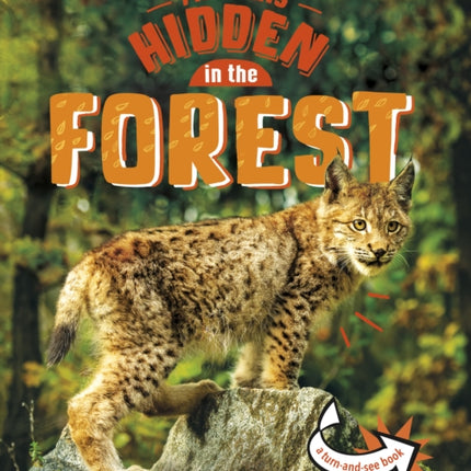 Animals Hidden in the Forest