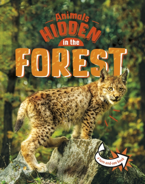 Animals Hidden in the Forest