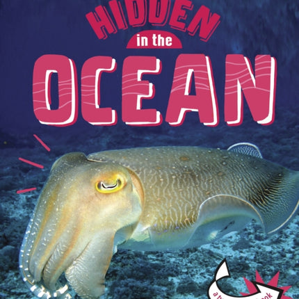 Animals Hidden in the Ocean