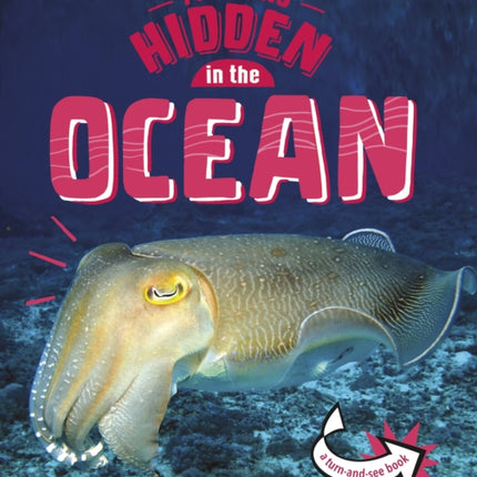 Animals Hidden in the Ocean