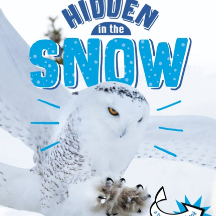 Animals Hidden in the Snow