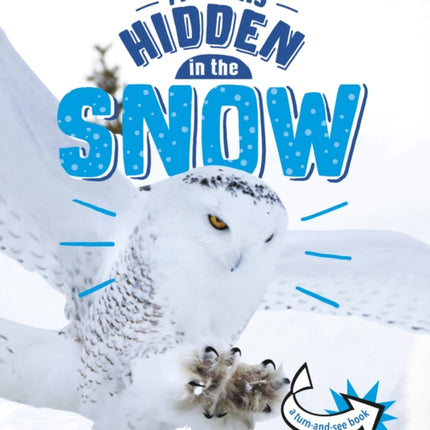 Animals Hidden in the Snow