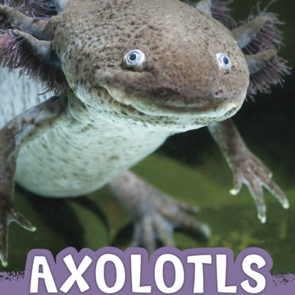 Axolotls