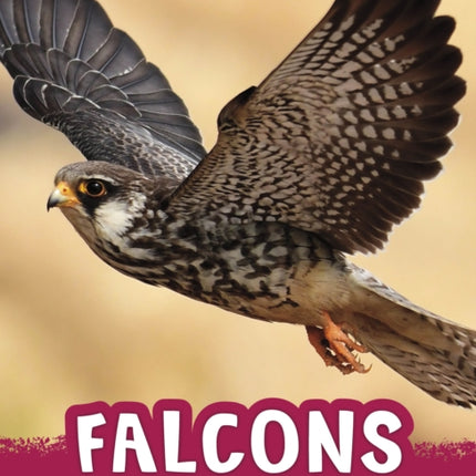 Falcons