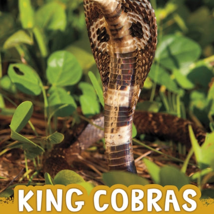 King Cobras