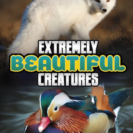 Extremely Beautiful Creatures