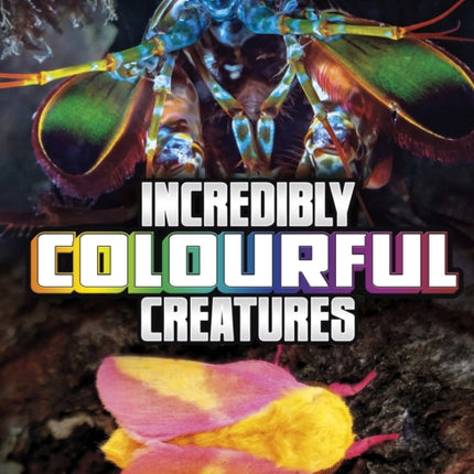 Incredibly Colourful Creatures