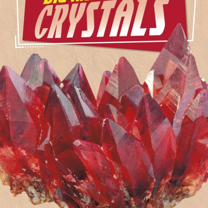 Dig and Discover Crystals